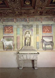 Sala dei Cavalli with Trompe l